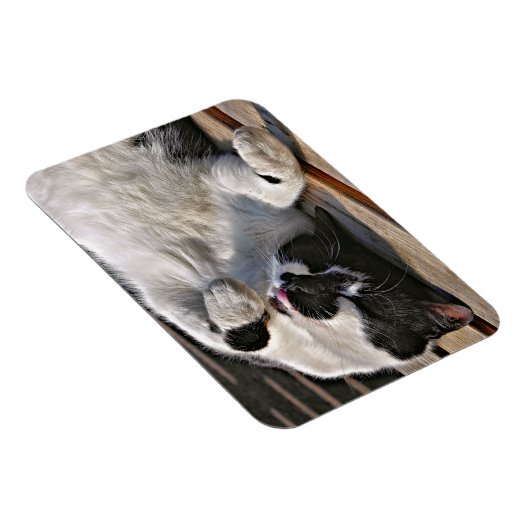 CUTE CAT MAGNEET (Rechterzijde)