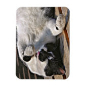 CUTE CAT MAGNEET (Verticaal)