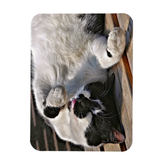 CUTE CAT MAGNEET (Verticaal)