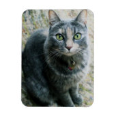 Cute Cat Magneet (Verticaal)