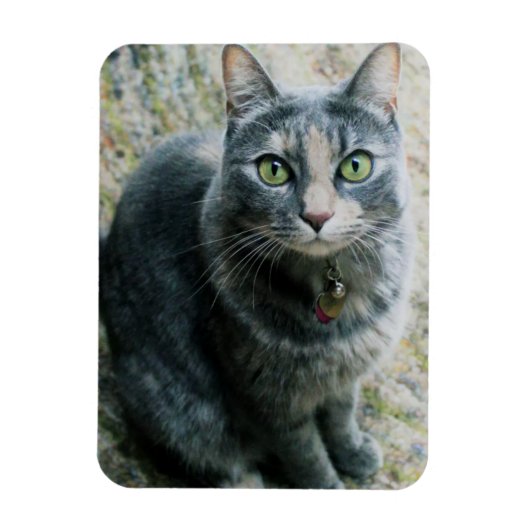 Cute Cat Magneet (Verticaal)