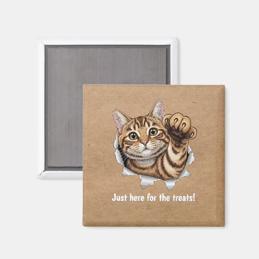 Cute Cat Magnet - Just here for the treats! (Voorkant / Achterkant)