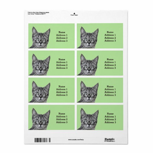 Cute Cat met Glasses op Light Green Address Label (Full Sheet)
