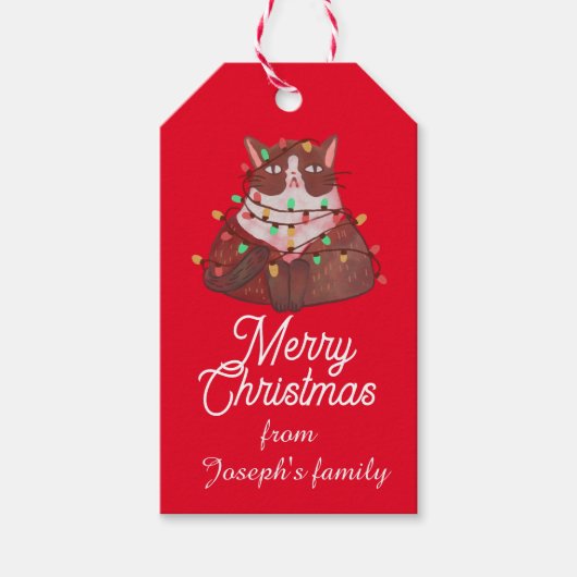 Cute cat met kerstlicht cadeaulabel (Voorkant)