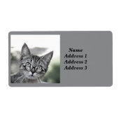 Cute Cat met label Glasadres (Voorkant)