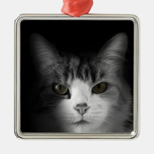 Cute Cat Metalen Ornament (Voorkant)