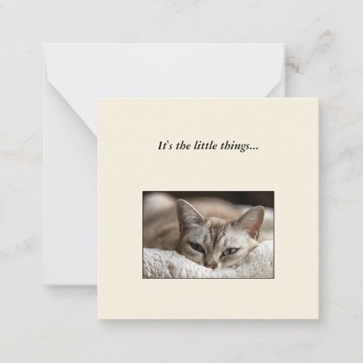 Cute Cat Mini Bedankt voor je briefkaart (Voorkant)
