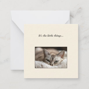 Cute Cat Mini Bedankt voor je briefkaart