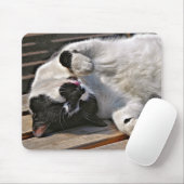 CUTE CAT MUISMAT (Met muis)