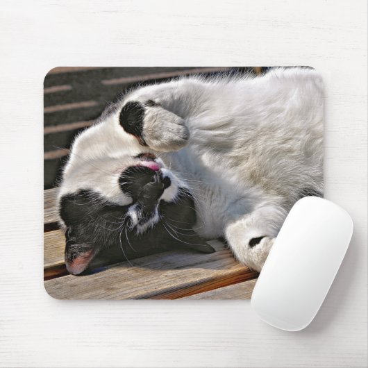 CUTE CAT MUISMAT (Met muis)