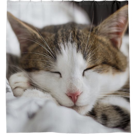 Cute Cat Nap Douchegordijn (Voorkant)