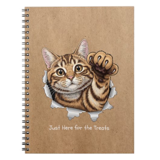 Cute Cat Notes - Spiral Photo Notebook Notitieboek (Voorkant)
