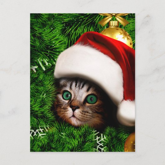 Cute Cat on Christmas tree Briefkaart (Voorkant)