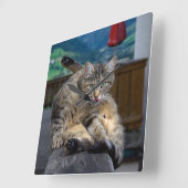 Cute Cat onderbroken tijdens het groeien Vierkante Klok (Hoek)