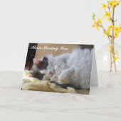 Cute Cat ontbreekt je Wenskaart Kaart (Gele Bloem)
