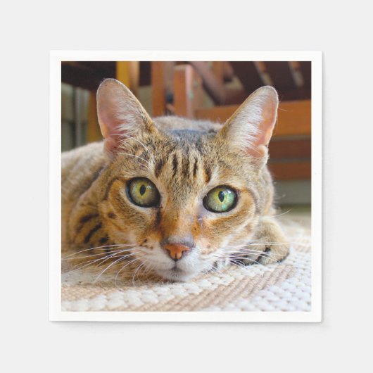 Cute Cat paper inapkins Servet (Voorkant)