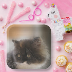 Cute Cat Papieren Bordje