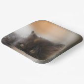 Cute Cat Papieren Bordje (Gebogen)