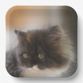 Cute Cat Papieren Bordje (Voorkant)