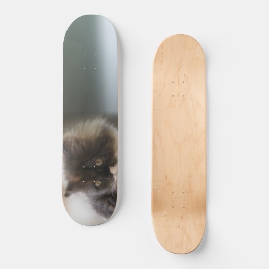 Cute Cat Persoonlijk Skateboard (Voorkant)