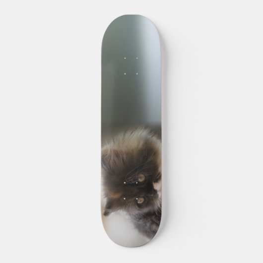 Cute Cat Persoonlijk Skateboard (Voorkant)