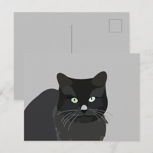 Cute Cat Pet Animal Briefkaart (Voorkant / Achterkant)