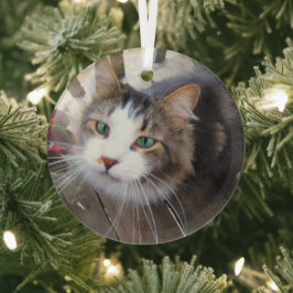 Cute Cat Pet Lovers Creëer Uw eigen Aangepast Glas Ornament