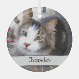 Cute Cat Pet Lovers Creëer Uw eigen Aangepast Glas Ornament