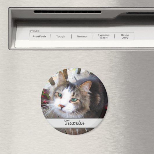 Cute Cat Pet Lovers Creëer Uw eigen Aangepast Magneet (Insitu (Vaatwasser))