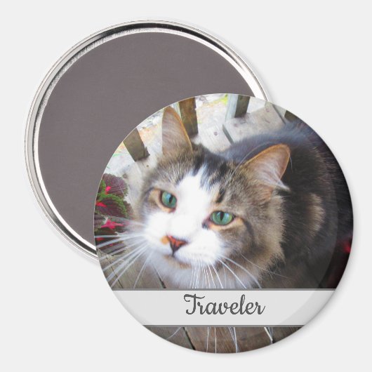 Cute Cat Pet Lovers Creëer Uw eigen Aangepast Magneet (Voorkant / Achterkant)