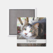 Cute Cat Pet Lovers Creëer uw eigen aangepaste mag Magneet (Voorkant / Achterkant)