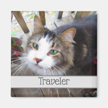 Cute Cat Pet Lovers Creëer uw eigen aangepaste mag