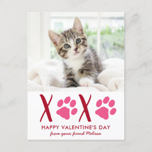 Cute Cat Pet Photo Valentines Day Holiday Card Feestdagenkaart