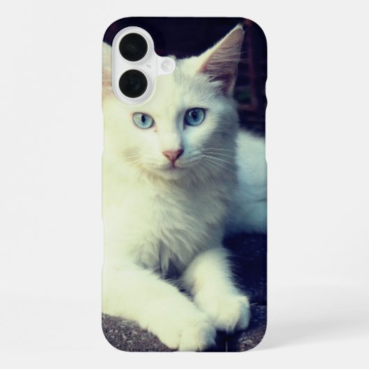Cute Cat Phone Case iPhone Hoesje (Achterkant)