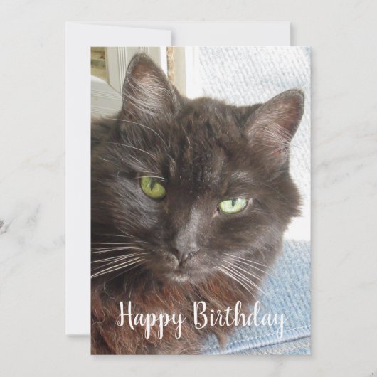 Cute Cat Photo Happy Birthday Flat Card (Voorkant)