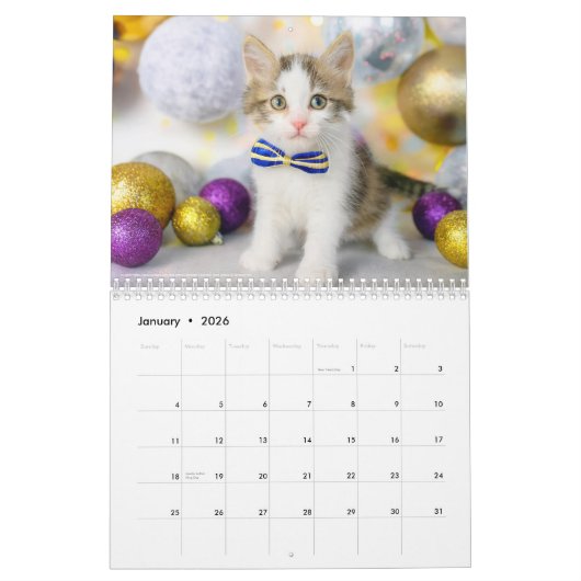 Cute Cat Photo It’s A Cat’s Life 2026  Kalender (Jan 2026)