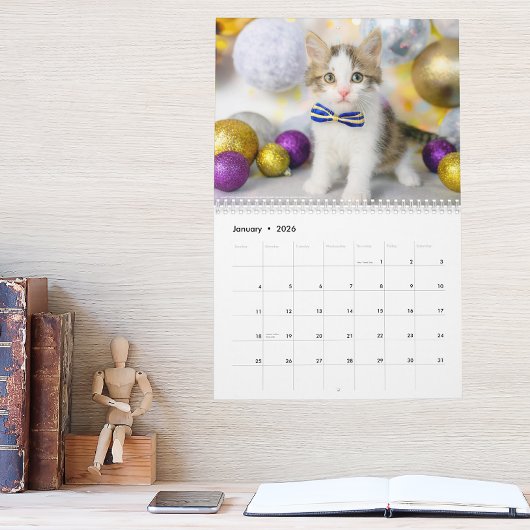 Cute Cat Photo It’s A Cat’s Life 2026 Kalender