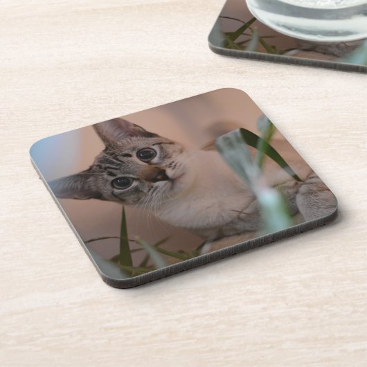 Cute Cat Photo Portrait Bier Onderzetter (Linkerzijde)