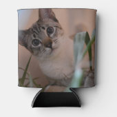 Cute Cat Photo Portrait Blikjeskoeler (Voorkant)