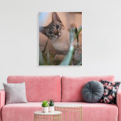 Cute Cat Photo Portrait Canvas Afdruk (Insitu (Woonkamer))