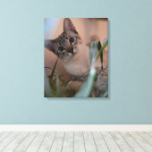 Cute Cat Photo Portrait Canvas Afdruk (Insitu (Houten vloer))