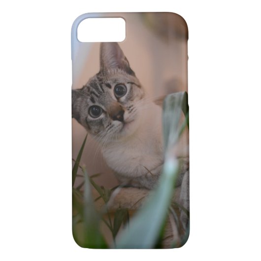 Cute Cat Photo Portrait Case-Mate iPhone Case (Achterkant)