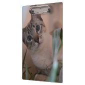 Cute Cat Photo Portrait Klembord (Links)