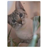 Cute Cat Photo Portrait Klembord (Achterkant)