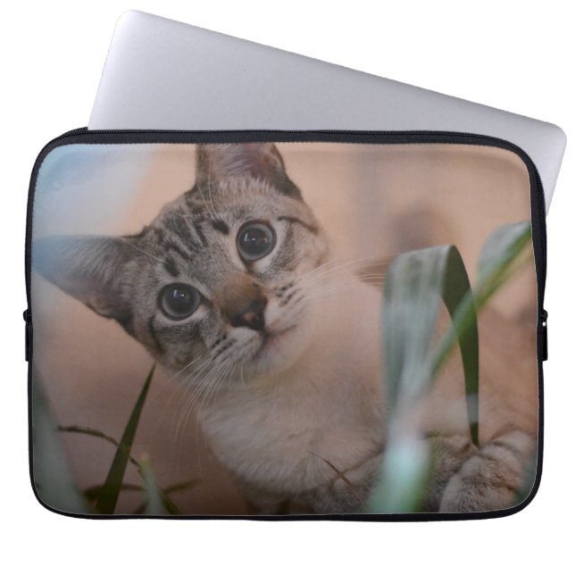 Cute Cat Photo Portrait Laptop Sleeve (Voorkant)