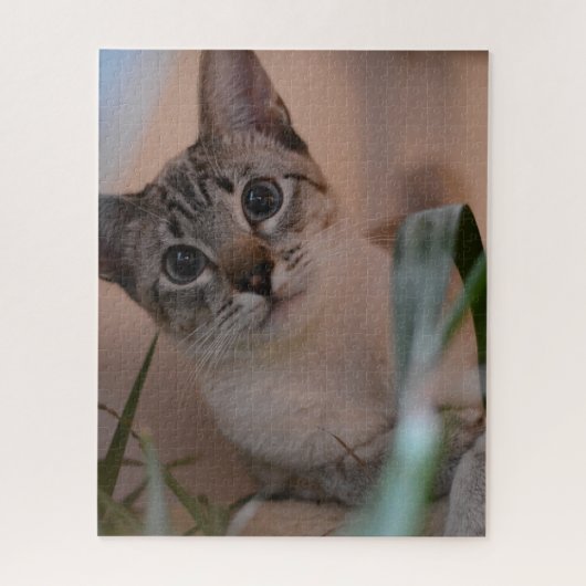 Cute Cat Photo Portrait Legpuzzel (Verticaal)