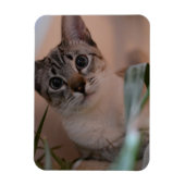 Cute Cat Photo Portrait Magneet (Verticaal)