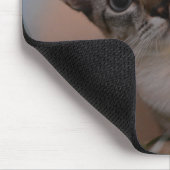 Cute Cat Photo Portrait Muismat (Hoek)