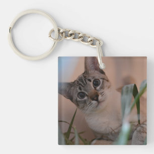 Cute Cat Photo Portrait Sleutelhanger