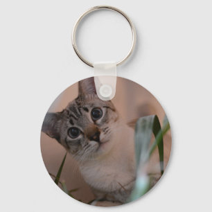 Cute Cat Photo Portrait Sleutelhanger